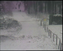 Nástup na běžecké tratě