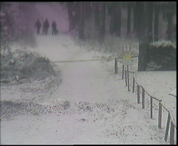 Nástup na běžecké tratě