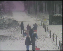 Nástup na běžecké tratě