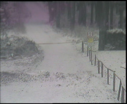 Nástup na běžecké tratě