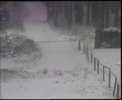 Nástup na běžecké tratě