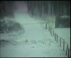 Nástup na běžecké tratě