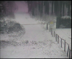 Nástup na běžecké tratě