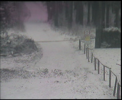 Nástup na běžecké tratě