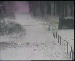 Nástup na běžecké tratě