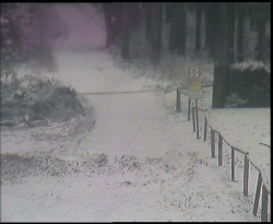 Nástup na běžecké tratě