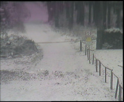 Nástup na běžecké tratě