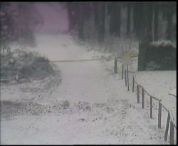 Nástup na běžecké tratě