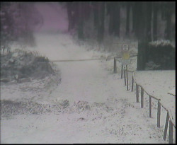 Nástup na běžecké tratě