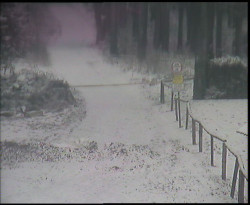 Nástup na běžecké tratě