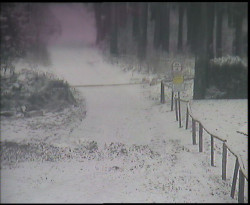 Nástup na běžecké tratě