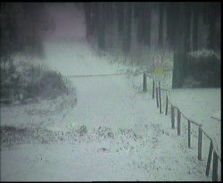 Nástup na běžecké tratě