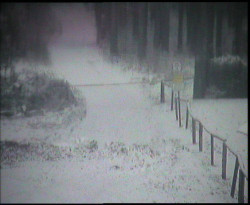 Nástup na běžecké tratě