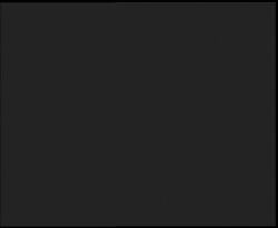 Nástup na běžecké tratě