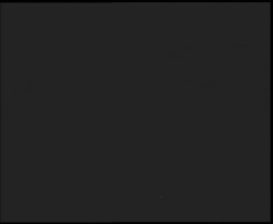 Nástup na běžecké tratě