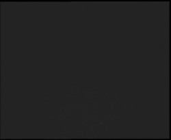 Nástup na běžecké tratě