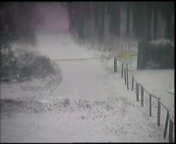 Nástup na běžecké tratě