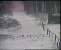 Nástup na běžecké tratě