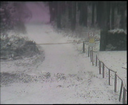 Nástup na běžecké tratě