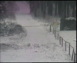 Nástup na běžecké tratě