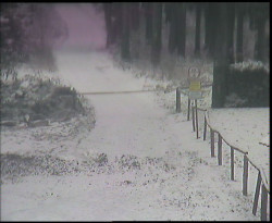 Nástup na běžecké tratě