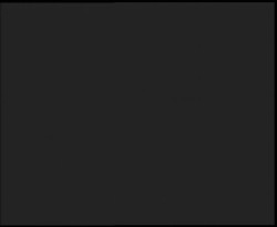 Nástup na běžecké tratě