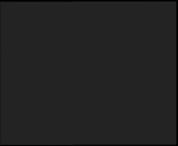 Nástup na běžecké tratě