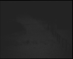 Nástup na běžecké tratě