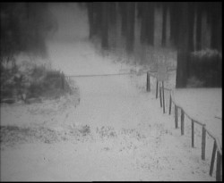 Nástup na běžecké tratě