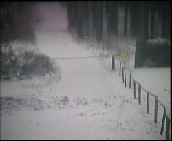 Nástup na běžecké tratě