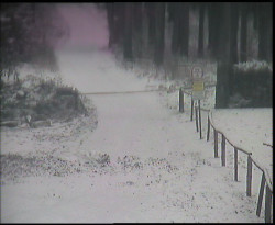 Nástup na běžecké tratě