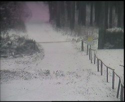 Nástup na běžecké tratě