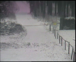 Nástup na běžecké tratě