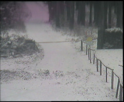 Nástup na běžecké tratě