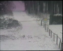 Nástup na běžecké tratě