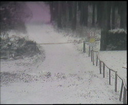 Nástup na běžecké tratě