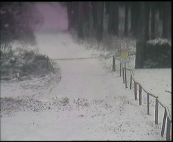 Nástup na běžecké tratě