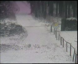 Nástup na běžecké tratě