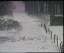 Nástup na běžecké tratě