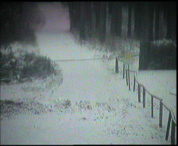 Nástup na běžecké tratě