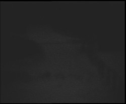 Nástup na běžecké tratě