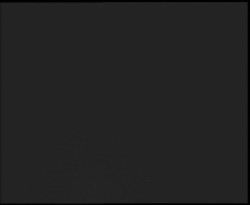 Nástup na běžecké tratě