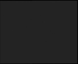 Nástup na běžecké tratě