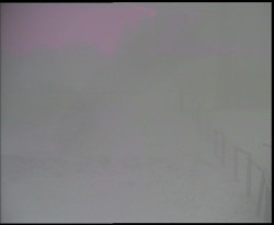 Nástup na běžecké tratě