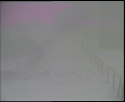 Nástup na běžecké tratě