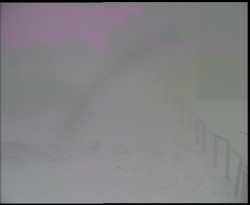 Nástup na běžecké tratě