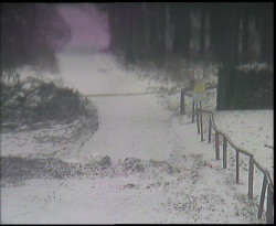 Nástup na běžecké tratě