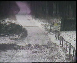 Nástup na běžecké tratě