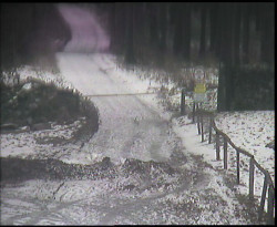 Nástup na běžecké tratě