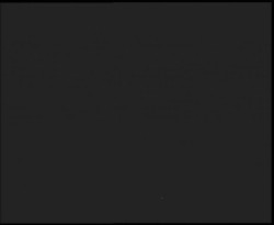 Nástup na běžecké tratě